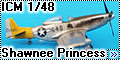 ICM 1/48 P-51D Mustang Shawnee Princess