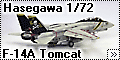 Hasegawa 1/72 F-14A Tomcat - Королевский кот
